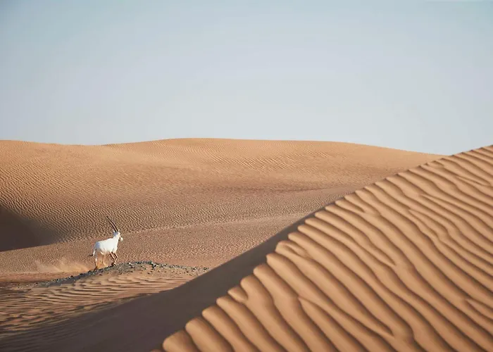 العنوان دبي مول